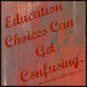 Education Choices 2